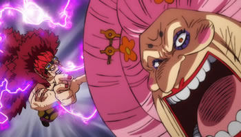 One Piece – Especial 08