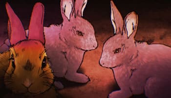 Yami Shibai 9 – Episódio 02